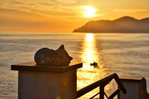 Hostal Cr�uza De M�