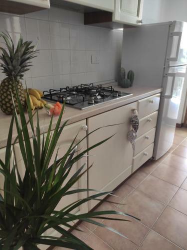 Amore Cove Apartment - Riomaggiore - 5 Terre