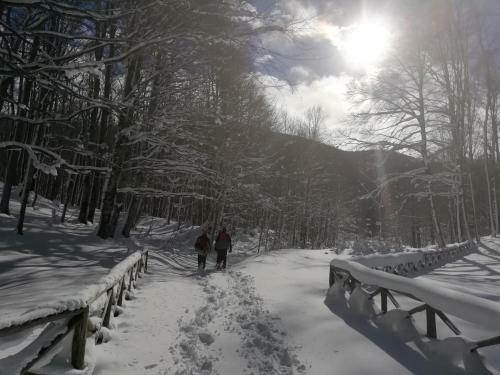 B&B Il Buon Cammino