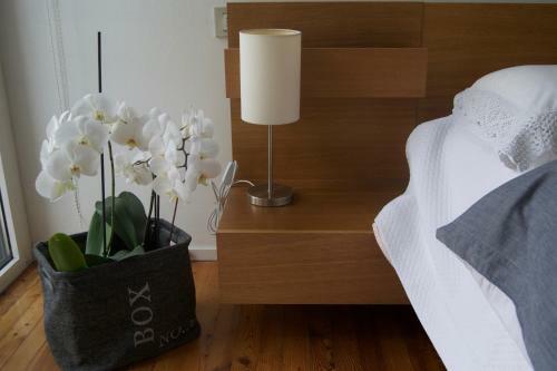 Apartamento Riva Celeste