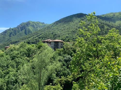 Apartamento House Campi