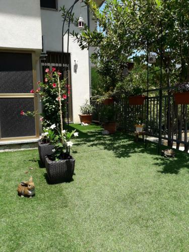 Apartamento House Rose