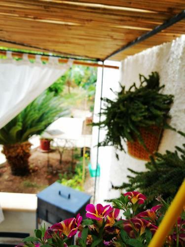 Apartamento Nonna Lucia - Casa Vacanze