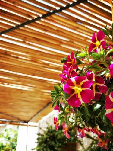 Apartamento Nonna Lucia - Casa Vacanze