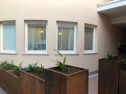 Golden Relax Apartment