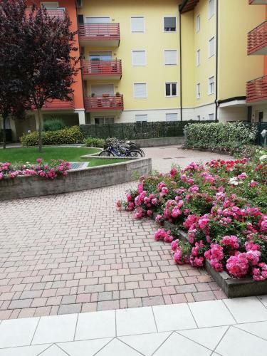 Apartamento C� Delle Rose