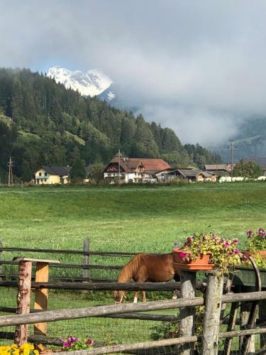 Agroturismo Urbangut