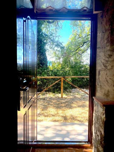 Hostal Mondo Pazzo