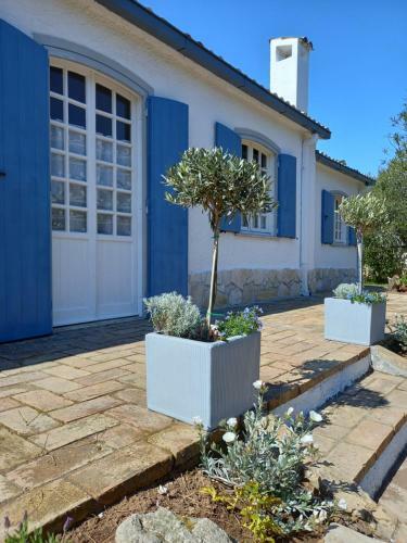Villa Geko