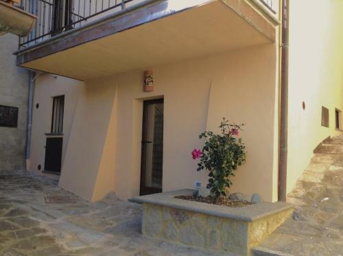 Apartamento La Casina