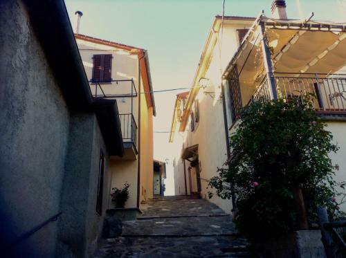 Apartamento La Casina