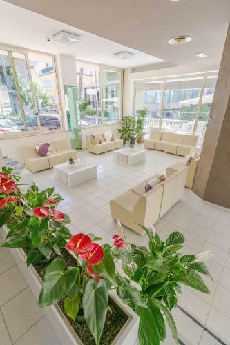 Hotel Confort
