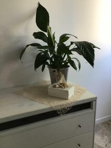 Apartamento Stella Di Mare