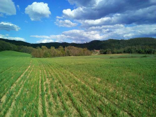 Bed & Breakfast Cascina Boschetto
