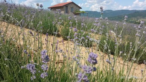 Bed & Breakfast Cascina Boschetto