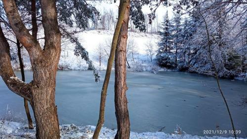 Bed & Breakfast Cascina Boschetto