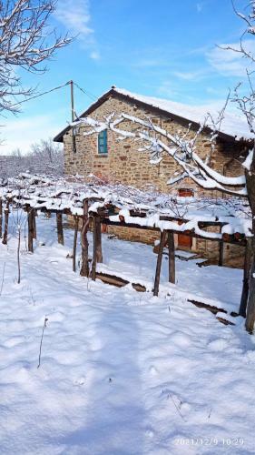 Bed & Breakfast Cascina Boschetto