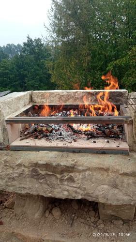 Bed & Breakfast Cascina Boschetto