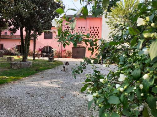 Hostal Residenza La Dimora Imperfetta