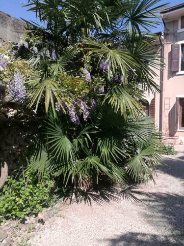 Hostal Residenza La Dimora Imperfetta