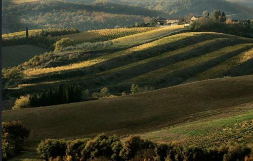 Tuscany Villa Galearpe