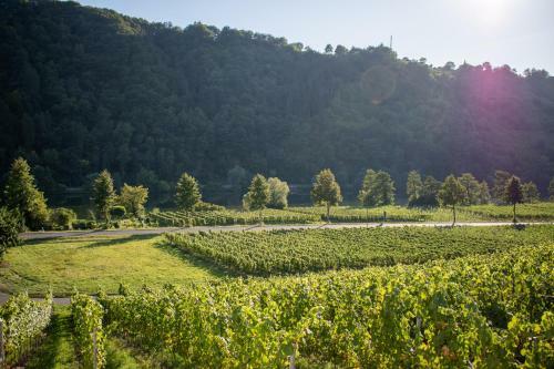 Apartamento Weingut Johanneshof