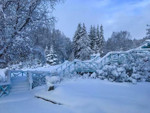 Halcyon Heights B&b/inn