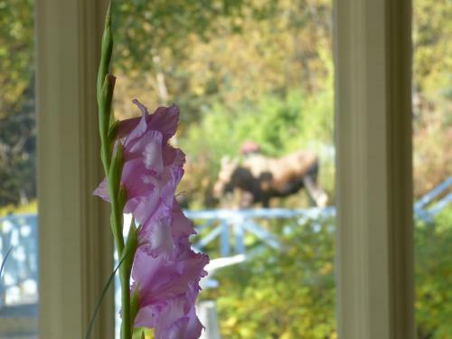 Halcyon Heights B&b/inn