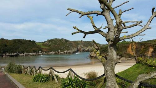 Apartamentos Mazuga Rural