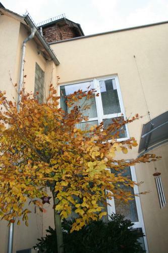 Apartpeterstor