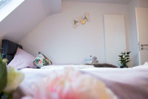 Apartamento G�stewohnung M�nchengladbach Rheindahlen