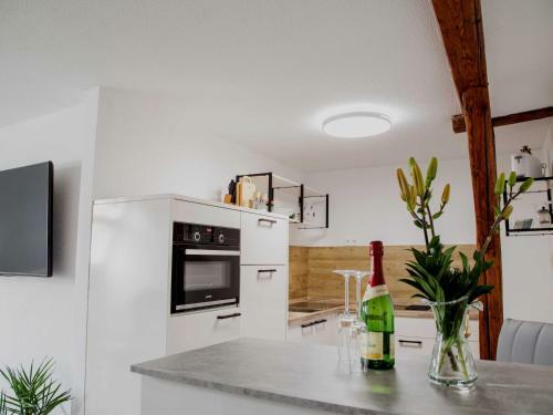 Apartamento Ferienwohnung M�cheln Geiseltal