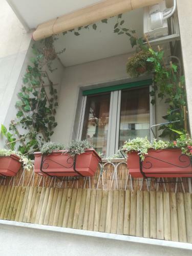 Hostal Guest House Josephine