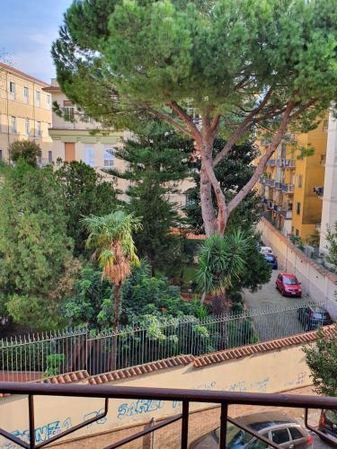 Bed & Breakfast Salerno 1950