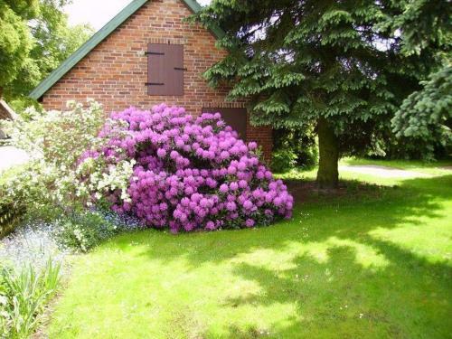 Hostal Landblick