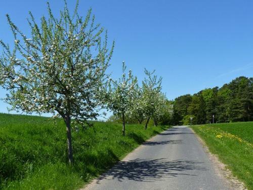 Apartamento Ferienwohnung Familie Jacobi "kurf�rst"