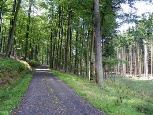 Apartamento Ferienwohnung Familie Jacobi "kurf�rst"