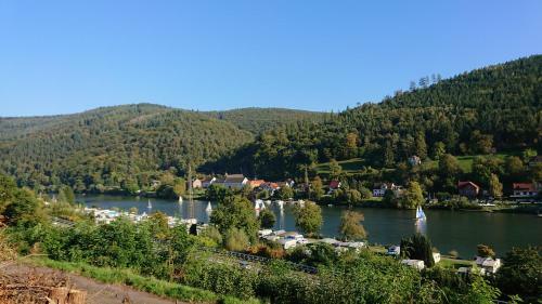 Apartamento Fewo Neckarsteinach Mit Anbindung An Heidelberg