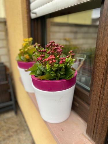 Apartamento Fewo Dana