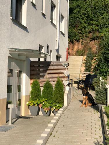 Apartamento Ferienwohnung Lamisto Am Waldesrand