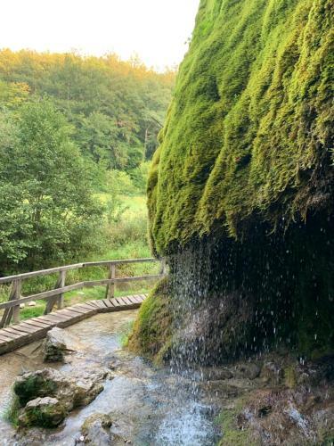 Ferienhaus Backesgarten F�r 22 Personen