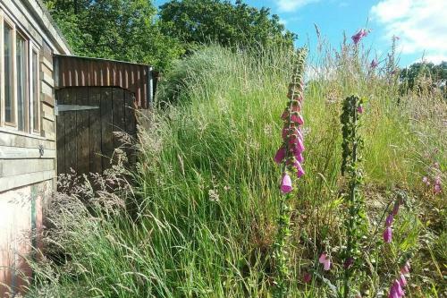 Foxesden, Unique Eco Cabin, Dartmoor Views