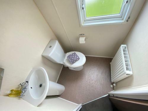 Dabbling Ducks - Pet Friendly