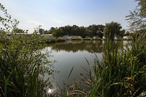 Mallard Lake