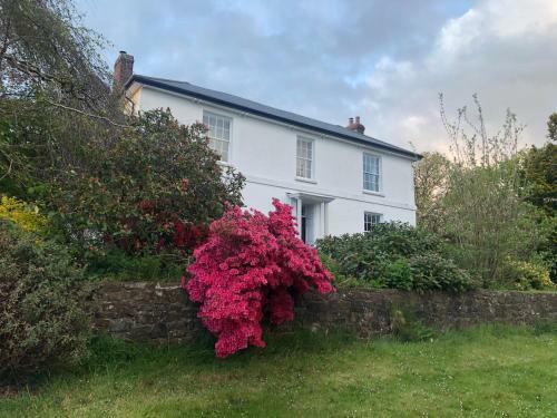Enchanted Retreats At West Ford Devon