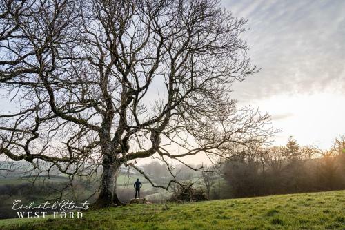 Enchanted Retreats At West Ford Devon