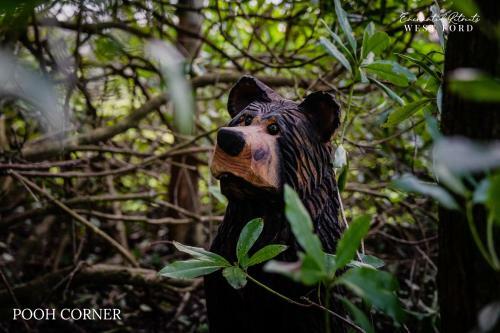 Enchanted Retreats At West Ford Devon