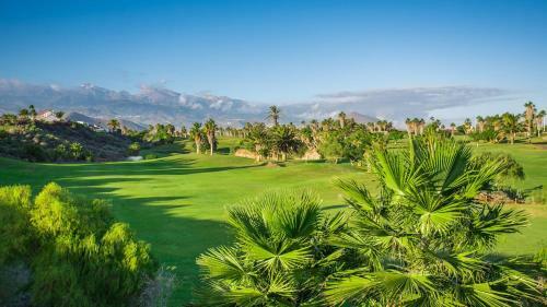 Estudio Green Park Tenerife
