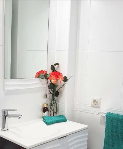 Apartamento Sildaviascq