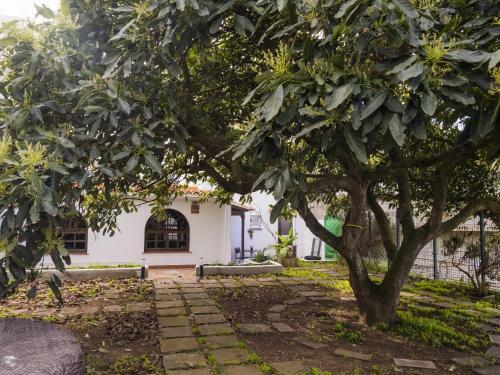 Villa Live Juli House